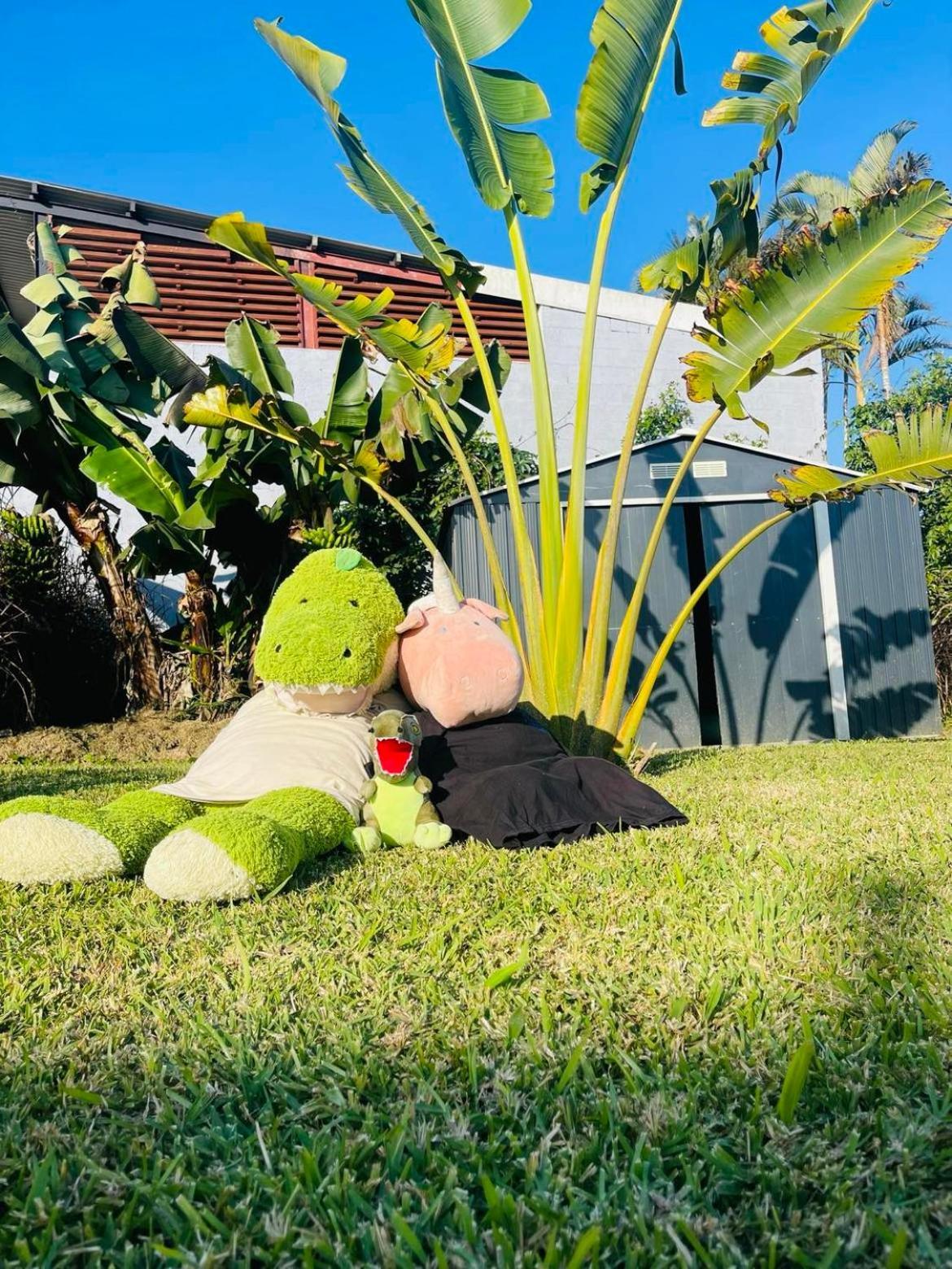 La Villa Tikalikata 圣若瑟 外观 照片